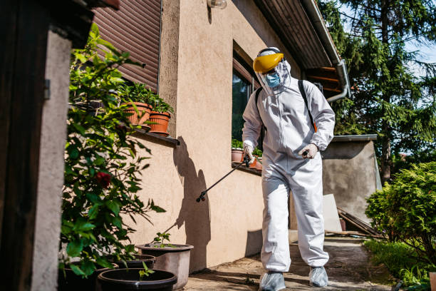 Best Emergency Pest Control  in Riverview, SC
