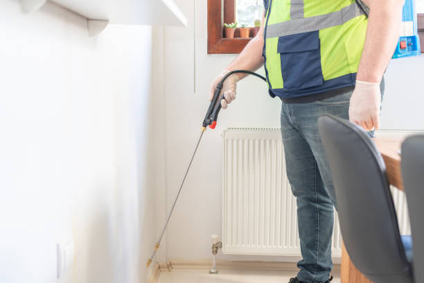 Best Wasp Removal Services  in Riverview, SC